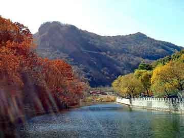 澳门二四六天天彩图库，军旅小说